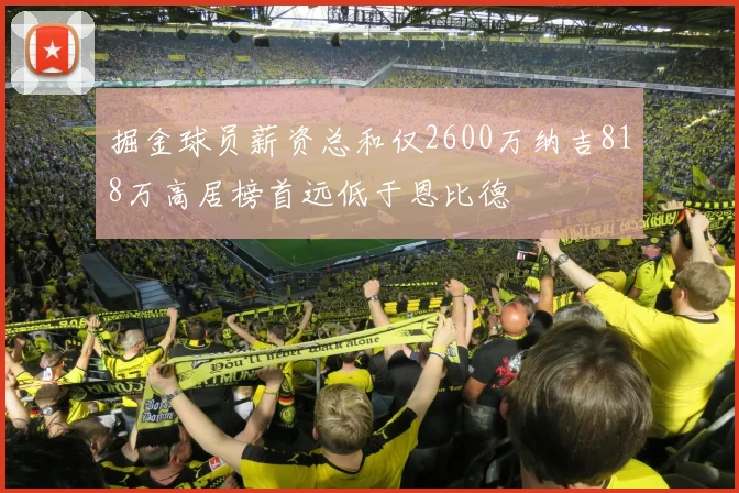 掘金球员薪资总和仅2600万纳吉818万高居榜首远低于恩比德