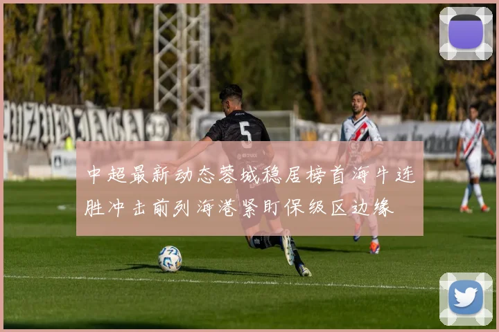 中超最新动态蓉城稳居榜首海牛连胜冲击前列海港紧盯保级区边缘